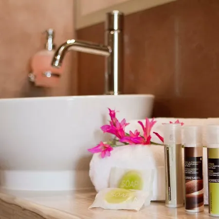 Elixirion Pensionat 4*