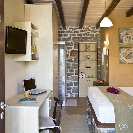 Elixirion Pensionat 4*