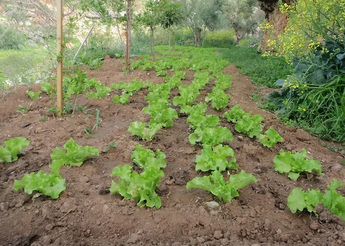 Elixirion Πανσιόν