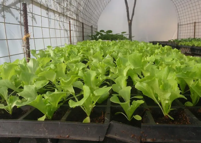 Gasthuis Elixirion 4*